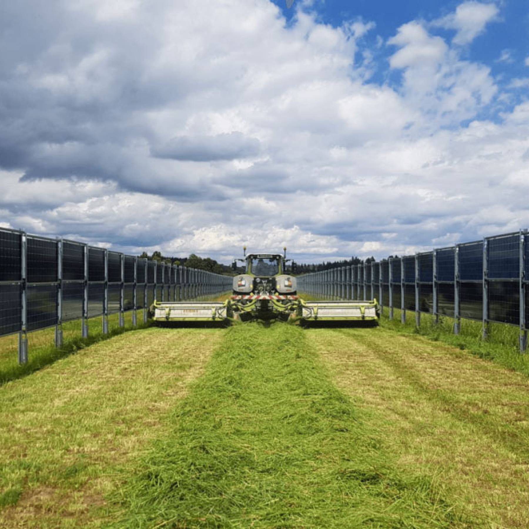 Mit Agri-Photovoltaik und dem Solarzaun auf Wiesen und Weiden Energie erzeugen
